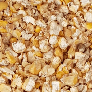 Maíz-3