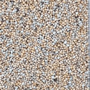 Mostaza-3